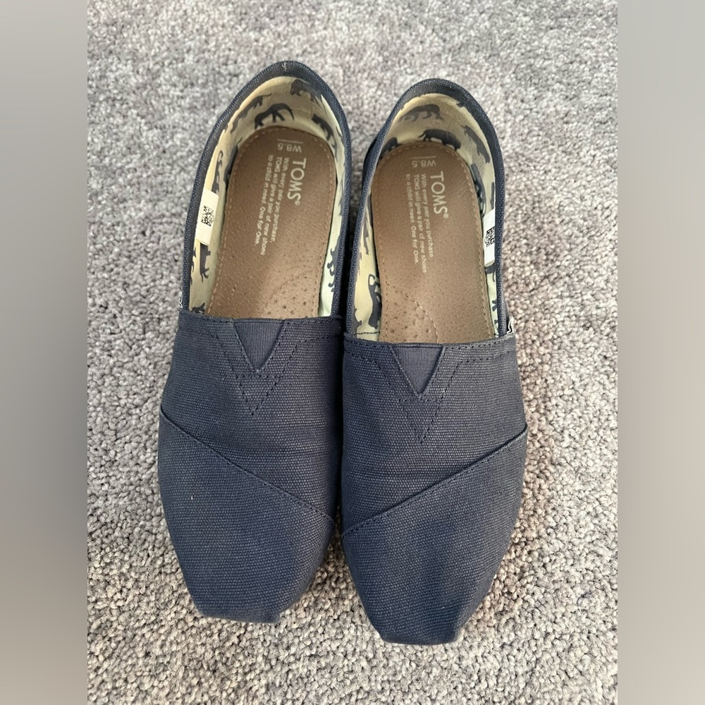 Toms Navy Canvas